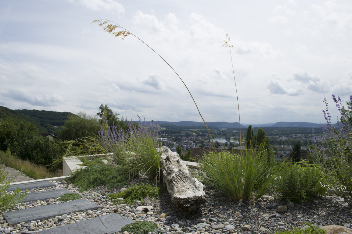 Kreativ Garten GmbH