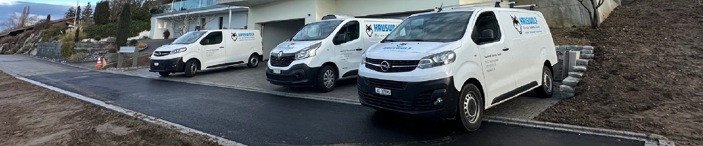 Hauswolf Service GmbH
