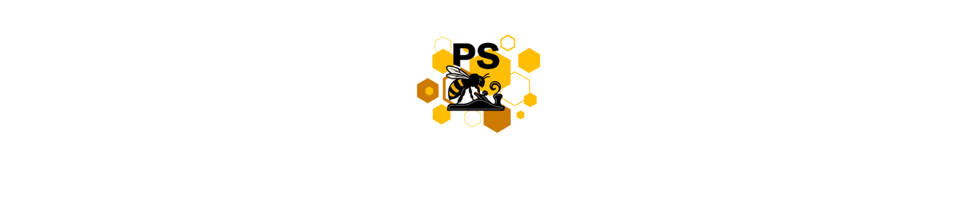 PS Dienstleistung,  Paco Sigrist