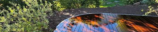 Proiectum Brunhart GmbH 