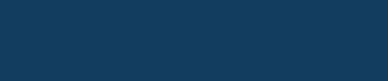 Profi Service GmbH 