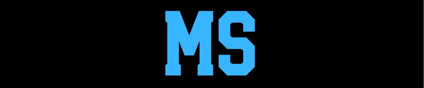 MS Metins Service GmbH